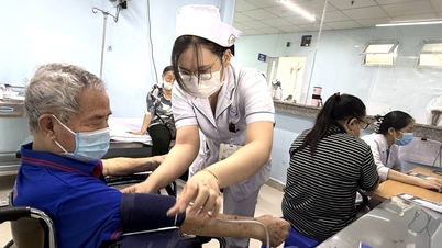 26-27 years old just started working, 7 million VND income is not enough to live, doctor's salary must be ranked higher