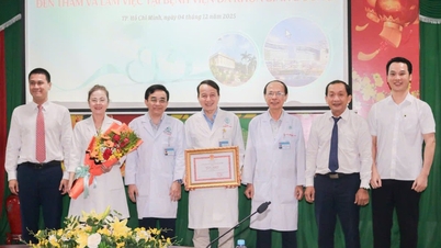 Het Volkscomité van Ho Chi Minhstad beloont onverwacht het team dat de afgehakte hand van een zwangere vrouw met een tweeling weer aanhechtte.