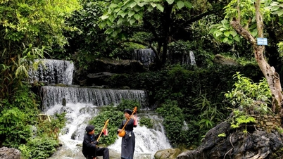 থাই নগুয়েন বনের সাংস্কৃতিক উৎসের উন্মোচন