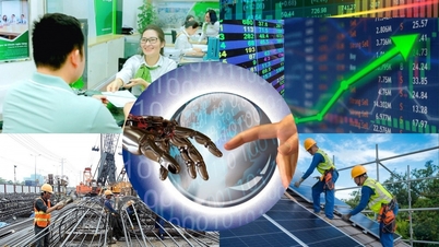 経済は新たなリズムを刻み、株価は期待の波に乗っている