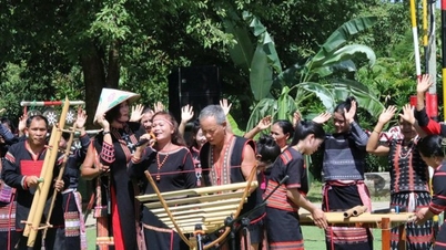 Вихідні в культурному просторі Ко Ту у В'єтнамському національному селі етнічної культури та туризму