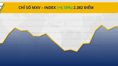 Ezici satın alma gücü MXV Endeksini 2.400 puana yaklaştırdı