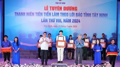 قصص جميلة في دراسة واتباع مثال العم هو