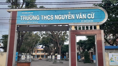 Gia Lai: Học sinh lớp 9 dùng dao đâm bạn