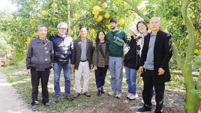 เทศกาลผลไม้บั๊กนิญ 2025: เชื่อมโยงและเพิ่มมูลค่าผลิตภัณฑ์ทางการเกษตร