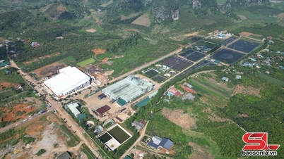 Crear condiciones para que las empresas inviertan y operen eficazmente