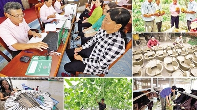 সোশ্যাল পলিসি ব্যাংক: পলিসি ক্রেডিট প্রোগ্রামের জন্য ঋণের সুদের হার হ্রাস করা।