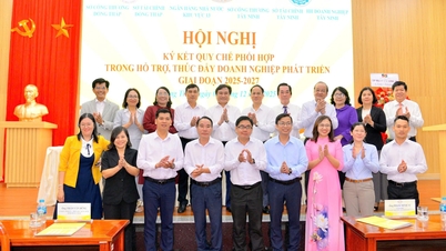 Banky vytvářejí předpisy pro koordinaci podpory podnikání