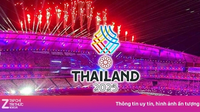 عدم استقرار ألعاب SEA 33