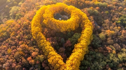 ສາຍຄໍ Emerald ໃນພູເຂົາ Nanjing