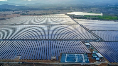 BIM Energy cooperates with Evolution Data Centers to provide clean electricity for Ho Chi Minh City data center