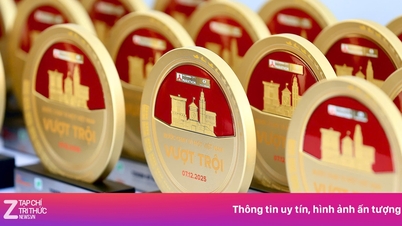 A emocionante 8ª temporada da Maratona de Ho Chi Minh