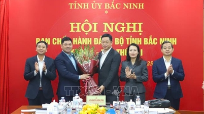 Towarzysz Tran Huy Phuong został wybrany na stanowisko zastępcy sekretarza Komitetu Partii Prowincjonalnej Bac Ninh.