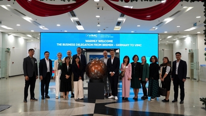 Делегация деловых кругов Бремена (Германия) посетила и работала на VIMC, что открыло множество новых возможностей для сотрудничества