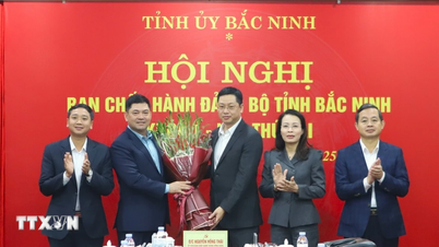 El Sr. Tran Huy Phuong fue elegido para ocupar el cargo de Subsecretario del Comité Provincial del Partido de Bac Ninh.