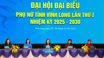 Sesión preparatoria del 1er Congreso de Delegadas de la Provincia de Vinh Long