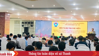 Resumo dos trabalhos de inspeção e supervisão de cooperativas em conformidade com a Lei das Cooperativas de 2023