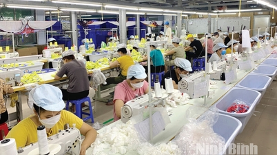 Enhancing the role of industrial clusters in in-depth industrial development