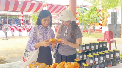 שוק ההיילנד: כוח מניע לצמצום העוני ולשיפור איכות התוצרת החקלאית