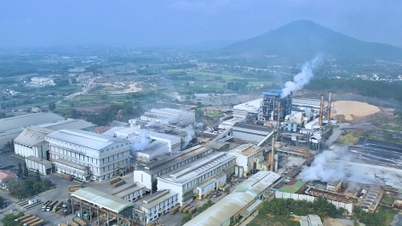 ទិដ្ឋភាពទូទៅនៃចង្កោមផលិតកម្មអំពៅ - ស្ករ - អគ្គិសនីធំបំផុតនៅក្នុងប្រទេស