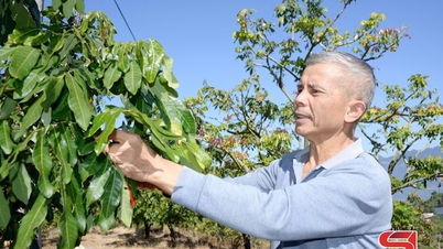 オーガニックラベルケア
