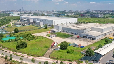 Ho Chi Minh-byens apotekforening besøkte Opella-fabrikken og FoU-senteret