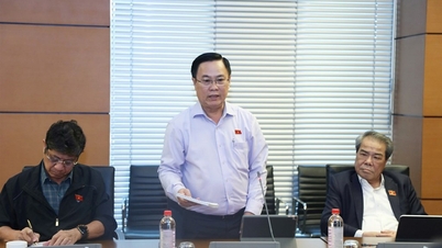 Hay que tener cautela con el nuevo mecanismo para garantizar la seguridad energética y la seguridad financiera nacional.