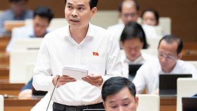 Legalisierung von Zulieferindustrien, damit Vietnam in Wertschöpfungsketten autark werden kann