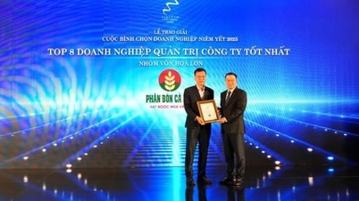 PVCFC kom in bland de 8 bästa inom styrning och vann priset för hållbar utveckling 2025