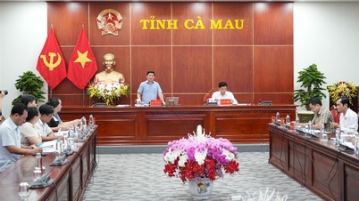 Conférence en ligne sur le décaissement des capitaux pour la mise en œuvre de 3 programmes nationaux ciblés