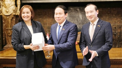 Hai Phong are un mediu de afaceri ideal pentru investițiile întreprinderilor belgiene.