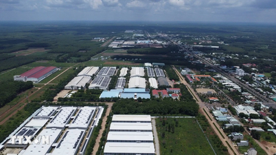 डोंग नाई: डोंग ज़ोई की आर्थिक विकास क्षमता का दोहन