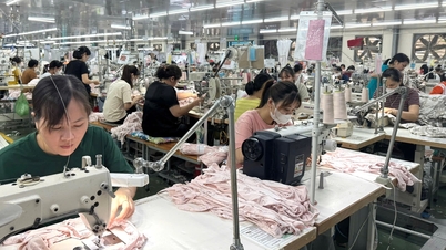 Cải thiện thu nhập, bảo đảm đời sống người lao động