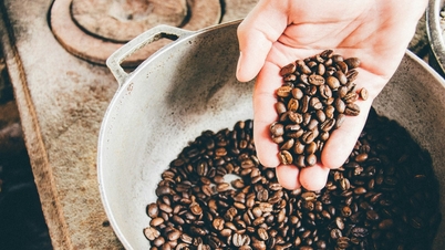 Harga kopi hari ini 5 Disember 2025: Kekalkan tahap tinggi