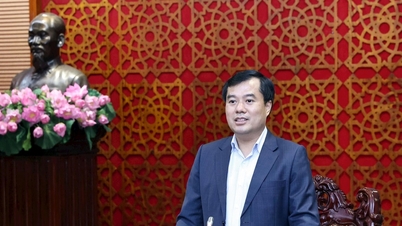 תרומה לשיפור מערכת ניהול וניהול מסמכים אלקטרוניים