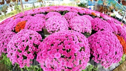 ຄາດ​ວ່າ 3 ຈຸດ​ສຸມ​ແມ່ນ​ງານ​ບຸນ​ດອກ​ໄມ້ ​ແລະ ປະດັບ​ປະດາ​ວັນ​ທີ 2 Sa Dec