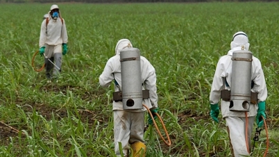 दोहरा चक्र अरबों डॉलर की अर्थव्यवस्था के मूक श्रमिकों को "नष्ट" कर देता है