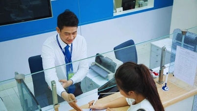 La industria bancaria se integra proactivamente y eleva su posición en el nuevo período