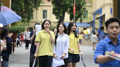 Nhiều đại học siết học bạ, bỏ tổ hợp cũ, học sinh lao đao vì lộ trình đảo lộn