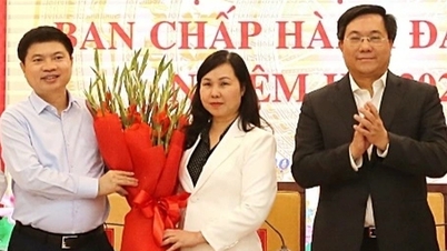 Bà Bùi Thị Thu Hằng giữ chức Chủ nhiệm Ủy ban Kiểm tra Tỉnh ủy Phú Thọ