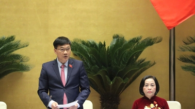 फोकस और मुख्य बिंदुओं को सुनिश्चित करने के लिए सामग्री समूहों की समीक्षा करें