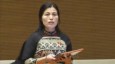 مرکزی بجٹ قومی ہدف پروگرام میں اہم کردار ادا کرتا ہے۔