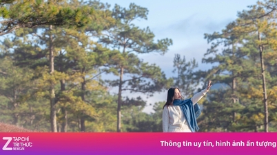 Da Lat is de meest gezochte toeristische bestemming op Google in 2025