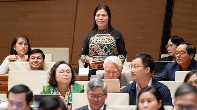 জাতীয় পরিষদের প্রতিনিধিরা দরিদ্র সম্প্রদায় এবং প্রাকৃতিক দুর্যোগে প্রায়শই ক্ষতিগ্রস্ত এলাকাগুলির জন্য প্রতিপক্ষ তহবিল থেকে অব্যাহতি দেওয়ার প্রস্তাব করেছেন