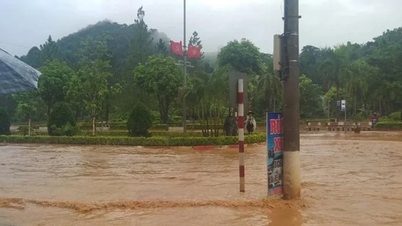 لام ڈونگ نے فوری ہدایت جاری کی، سیلاب سے نمٹنے کے لیے تمام قوتوں کو متحرک کیا۔