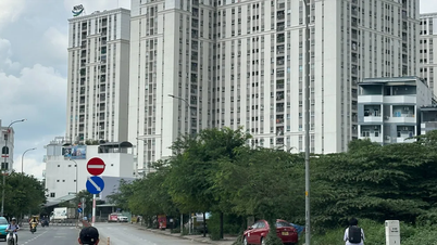 TPHCM: Xây dựng cơ chế hỗ trợ thực hiện dự án nhà ở xã hội