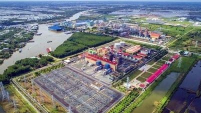 까마우 가스-전기-비료 복합단지: 우민 숲 가장자리 습지대의 산업 모델