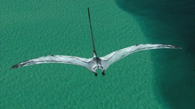 Oppdag den eldgamle pterosauren Nyctosaurus