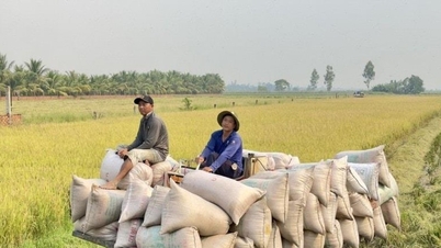 97 trillion VND in damage due to natural disasters: Will agricultural growth meet targets?