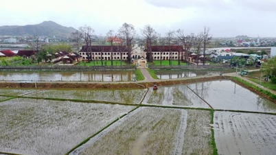 Pueblo fluvial de Binh Dinh: huellas góticas en el origen de la escritura vietnamita